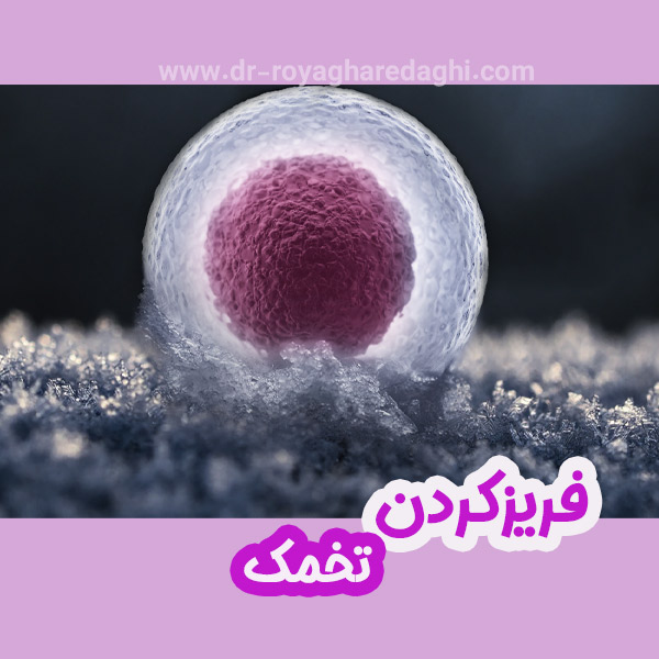 فریزکردن تخمک - https://dr-royagharedaghi.com/