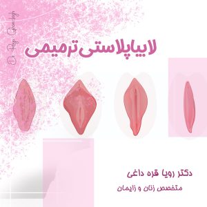 لابیاپلاستی ترمیمی